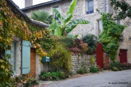 133.JPG