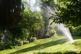 la Couze,les filles,jardin,bambous peints 092.JPG