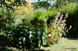 les filles,piscine,jardin,tipi 099.JPG