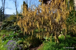 tour du jardin printemps 012.JPG