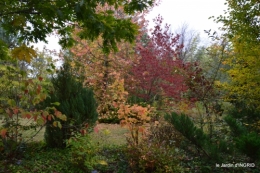 brocante st avit Se.jardin st Avt,récolte tomates 166.JPG
