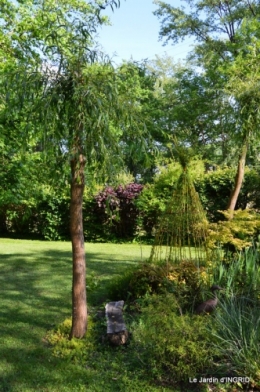 jardin soir et matin 053.JPG