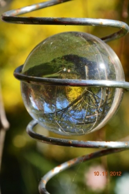 petit érable,le canal et lejardin àl'automne 053.JPG
