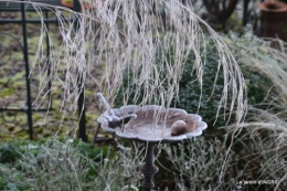 vieilles photos,givre,dentelles 119.JPG