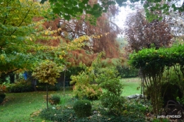couleurs d'automne,bouquet,lune 015.JPG