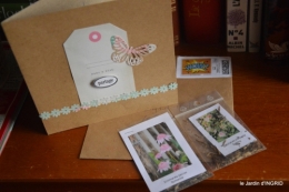 orchidées,SOL,merles,oiseaux,hélébores 107.JPG