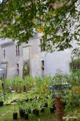 Neuvic,jardin,champignons canal 118.JPG