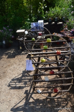 Fouleix,cygnes,Inès,jardin 079.JPG