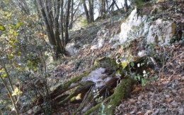 jardiland,déco noel,colline,pt houx 156.JPG