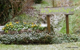 oiseaux première neige 043.JPG
