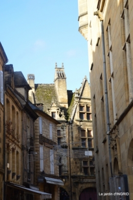 décos Noel au jardin,Sarlat,étoile en osier 087.JPG