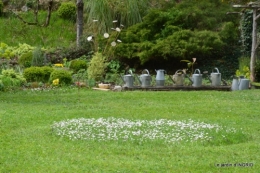 le printemps ,paquerettes,tonte,Anni. Jérome 117.JPG
