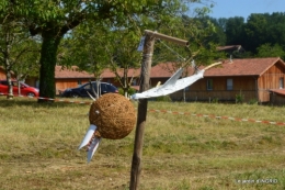 Meyrals,Limeuil,Issygeac,Ines,les cygnes 034.JPG
