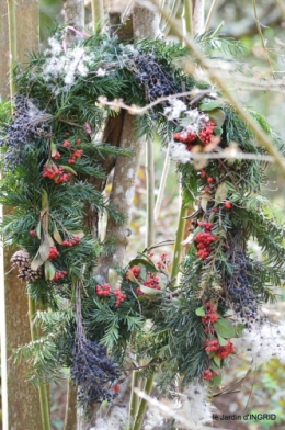 les lettres,les oiseaux,givre 059.JPG