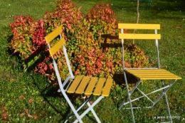 semis,bassin,tour du jardin 062.JPG