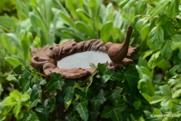 jardin printemps 014.JPG