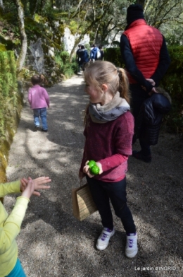 Marqueyssac,bassin,puces Beaumont 034.JPG