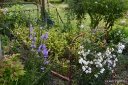 portes ouvertes,taille marguerittes,jardin 014.JPG