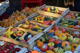 Issigeac,citrouilles ,rhus,automne,jardin 019.JPG