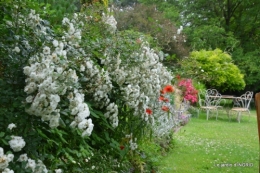 tempête colline,jardin en juin 096.JPG