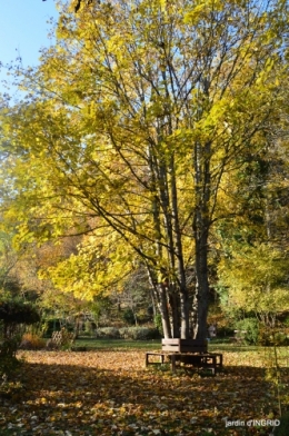 fin de l'automne,Lalinde,bouquet de l'avent 019.JPG