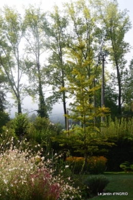 lantanas,jardin aout, 004.jpg