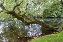 moulin,les jardins d'Au-delà,Brantôme 067.JPG