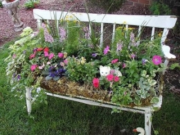 bancs