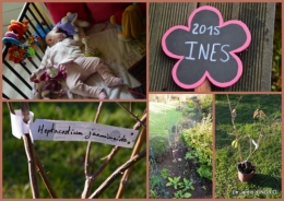2015-12-05 pour Ines.jpg
