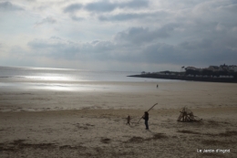 Royan,les cigognes,helebores 076.JPG