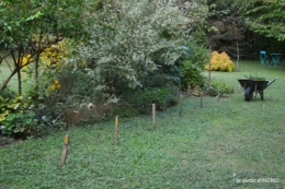 chez Willy,jardin 005.JPG
