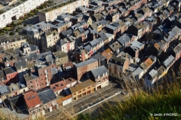 la baie de Somme 031.JPG