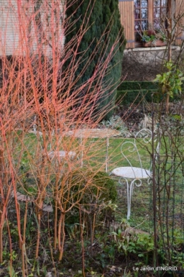 hélébores,bruyères,arbustes fleuries,mésanges 047.JPG