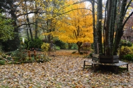 troc,automne,serre 071.JPG