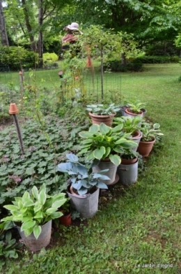 fete des fleurs Lalinde ,Cadouin,les printanières ,jardin 215.JPG