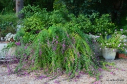 jardin d'ingrid