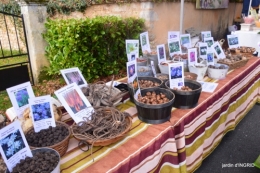fête de la citrouille,jardinage,jardin 036.JPG