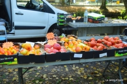 Issygeac citrouilles,canal,coucher de soleil,automne 014.JPG