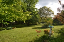 jardin,premières roses,colline,avant l'orage 116.JPG