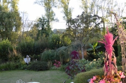 citrouilles,jardin,Combarel 015.JPG