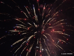 hémérocalles,cygnes,dahlias,feu d'artifice,jardin,jardinières 150.JPG