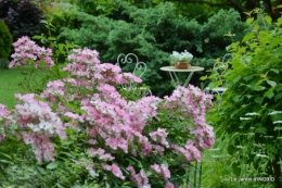 roses,marguerites,MOI,fêtes des mères avec les enfants 074.JPG
