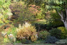 Jardin à l'automne 037.JPG