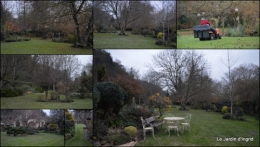 2014-12-05 poule d'eau,travaux et dernières fleurs,tonte,sapin bois.jpg