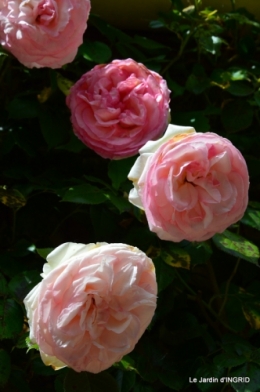 fête de la fraise Vergt,roses jardin 121.JPG