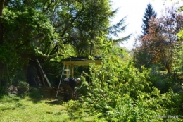 jardin,roses,cabane 037.JPG