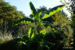 coulobre,Romane,jardin,Lamonzie Monstatruc,les filles 113.JPG