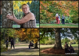 2018-10-15 La Romieu,Coursiana,chez Renée,Ginkgo biloba8.jpg