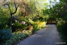 jardin,arrosage,pourpre,bouquet 051.JPG
