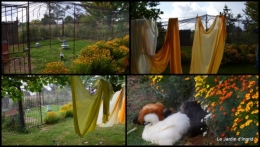 2014-09-24 jardin de Marie,éoliennes,Ciron,Angles,Fontgombault1.jpg